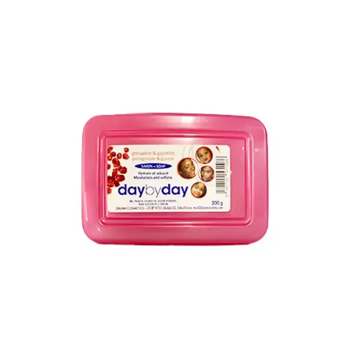 [000108] DAY BY DAY GRENADINE SAVON 200G